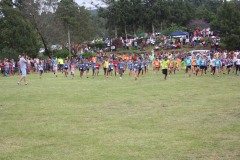 IMG_3976