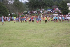 IMG_3977