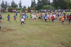 IMG_4108