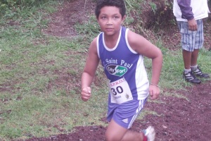 CROSS P. Des PALMISTE 2013