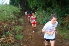 2008_05_geranium_095