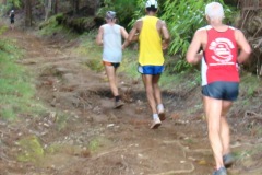 2008_05_geranium_098