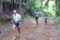 2008_05_geranium_099