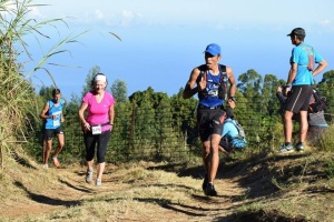 Géranium 2016 (Chmpt)