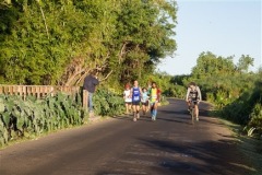 prise-de-vue-sans-titre-5779