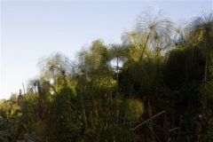 prise-de-vue-sans-titre-5796