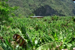 DSCN0233