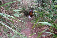 DSCN0234