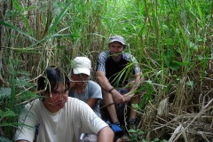 DSCN0236