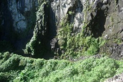 DSCN1514