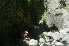 DSCN1528
