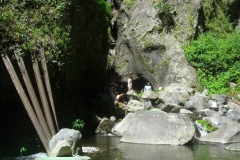 DSCN1529