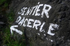 DSCN1558