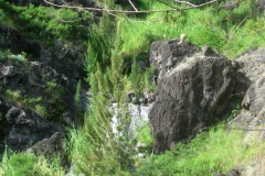 DSCN1561