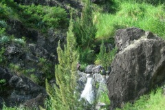 DSCN1562