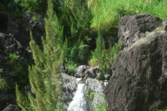 DSCN1564