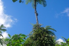 DSCN1586