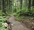 foret-2