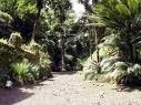 foret-5